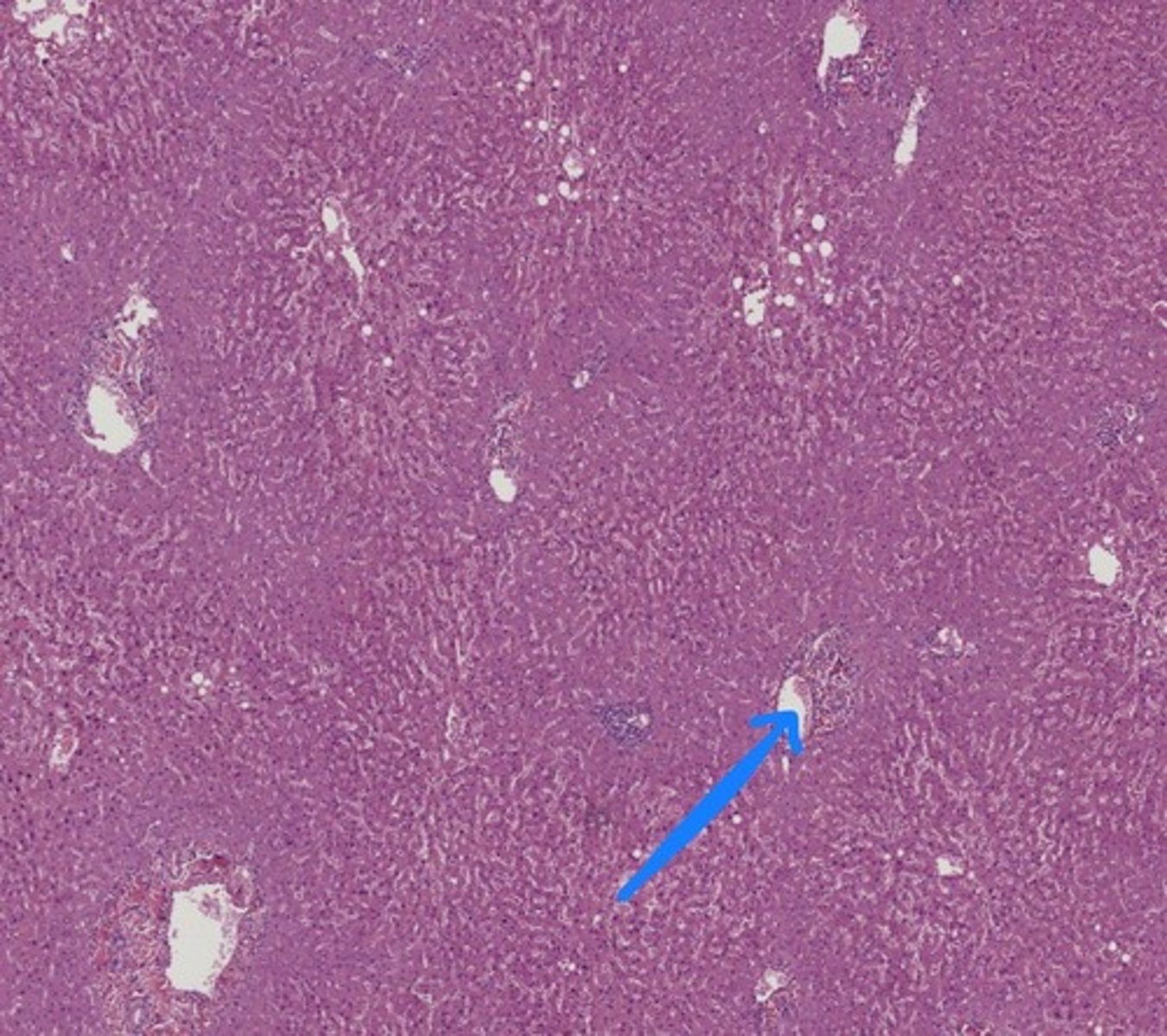 <p>Name the structure</p>