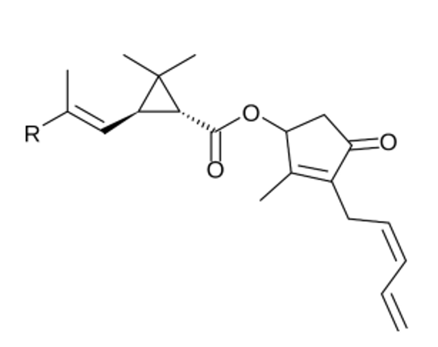<p>nerve membrane sodium channel toxin (prolongs opening)</p>