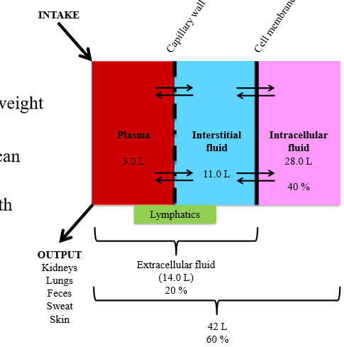 <p>Plasma, interstitial fluid</p><p></p>