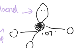 <p>107</p>
