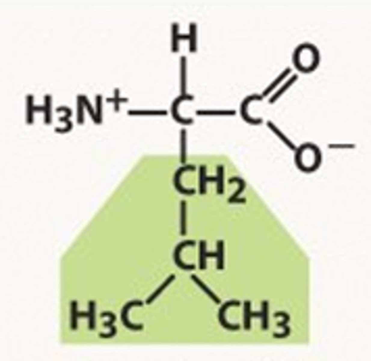 <p>L, aliphatic non polar, no charge</p>