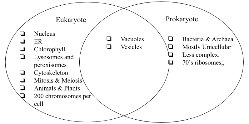 Venn Diagram