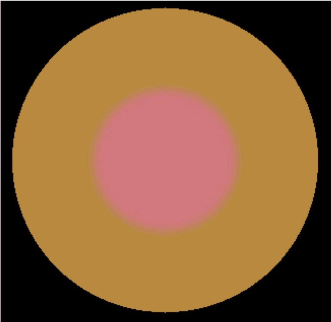 <p>Explain the disappearing pink circle illusion</p>