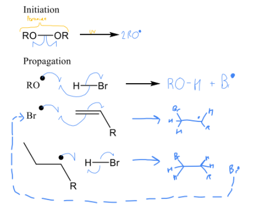 <p>anti Markovinikov</p>