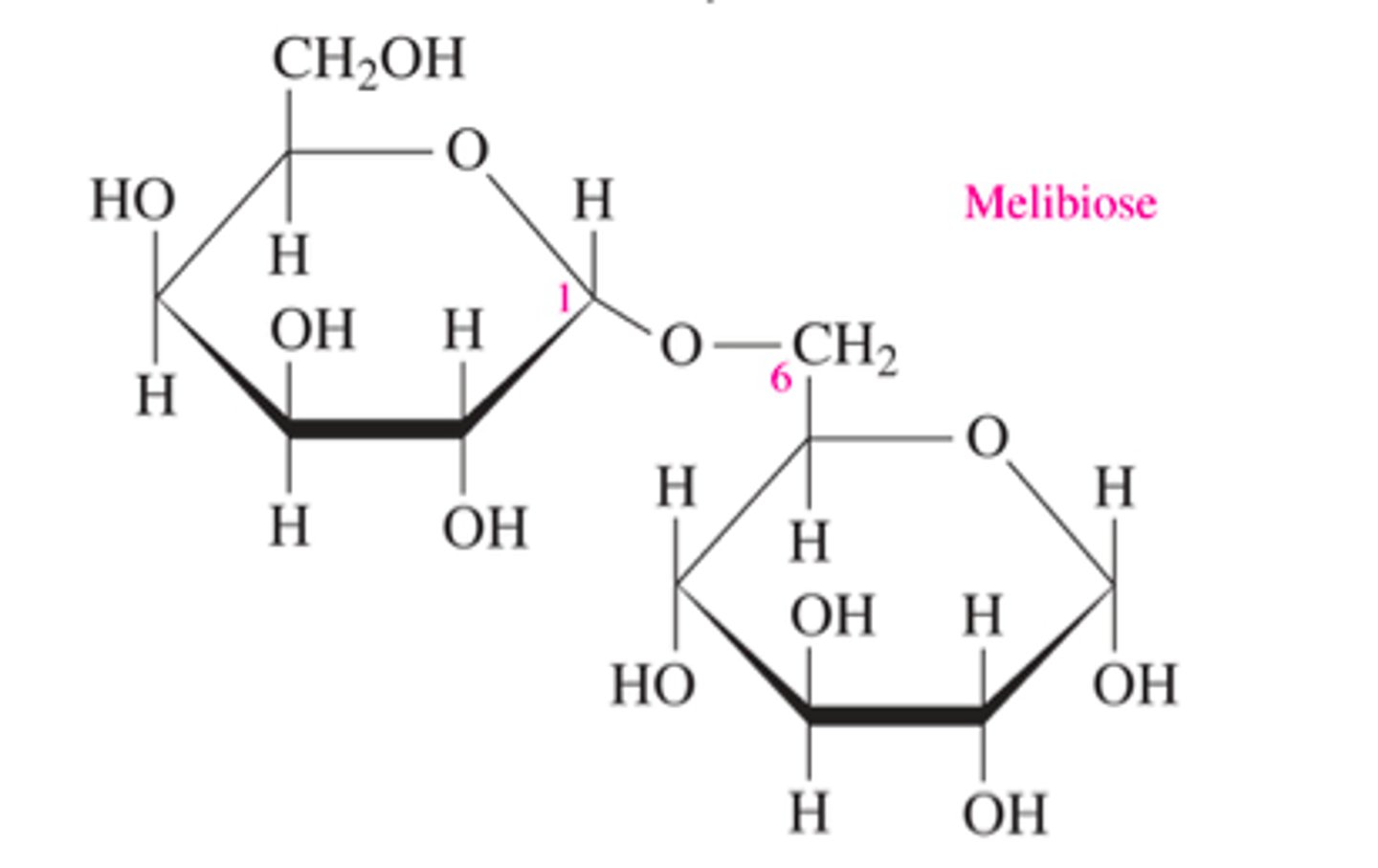 <p>a branch point in glycogen (1 of first monosaccharaide + top left of 2nd monosaccharide)</p>