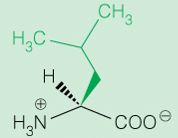 <p>Full</p>
