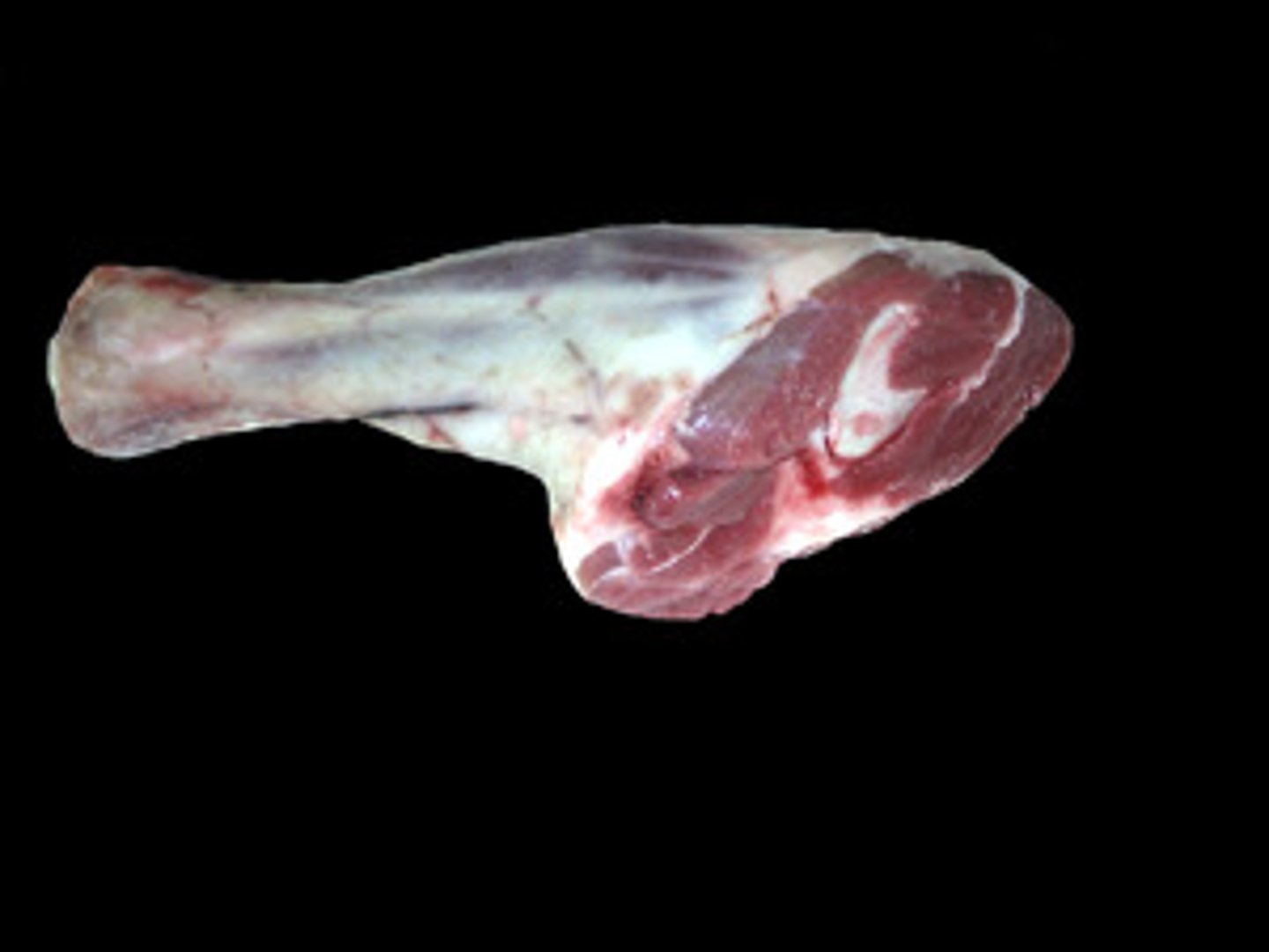 <p>from the bottom section of the leg just below the knee<br><br>læm ʃæŋk<br><br>thịt cừu có xương</p>