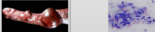 <p>What is this?</p><p>Features?</p>