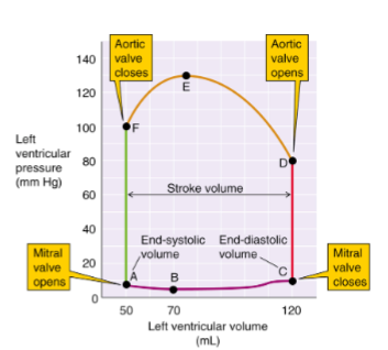 <p>Pressure-volume loop</p>