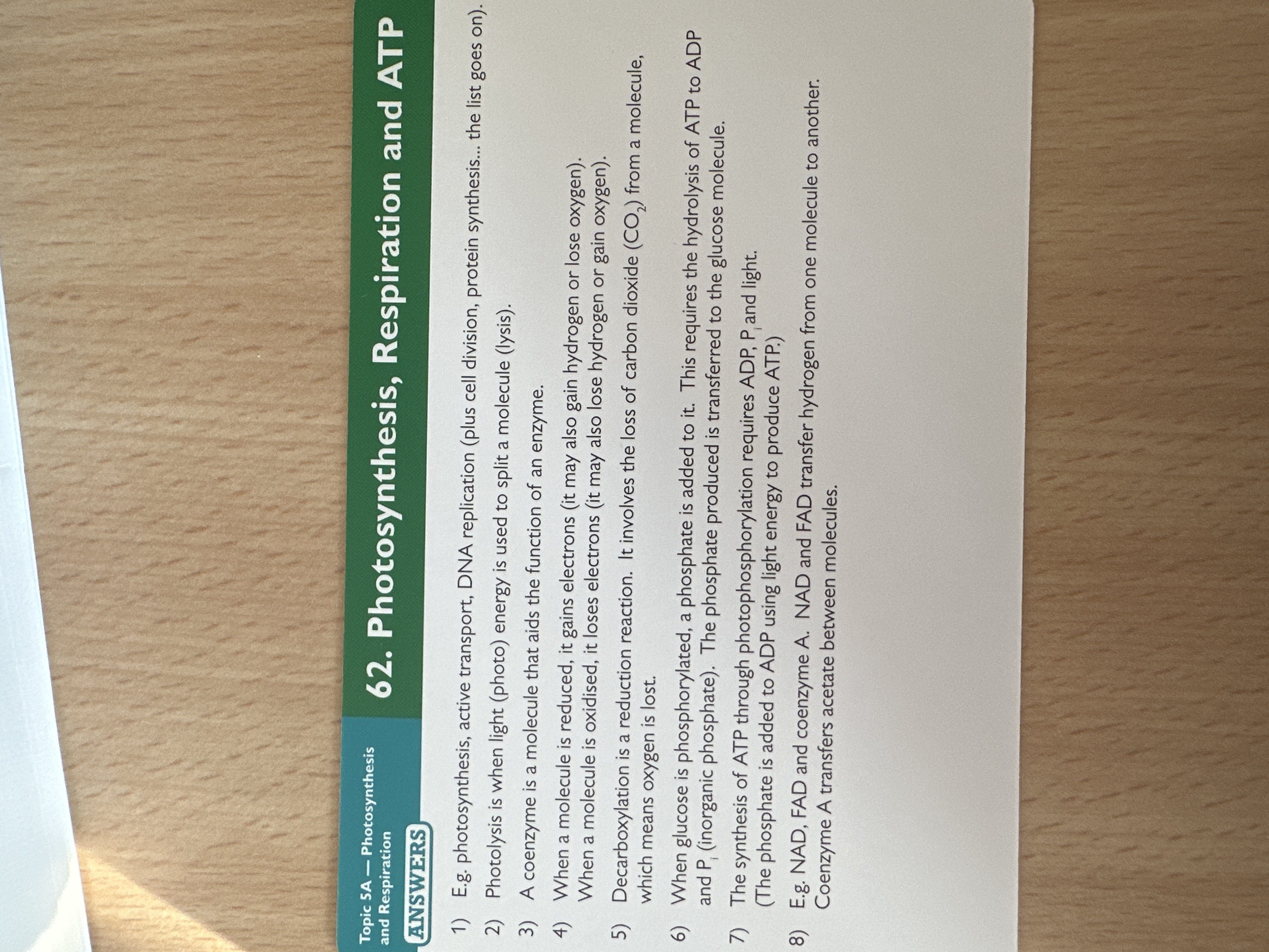 knowt flashcard image