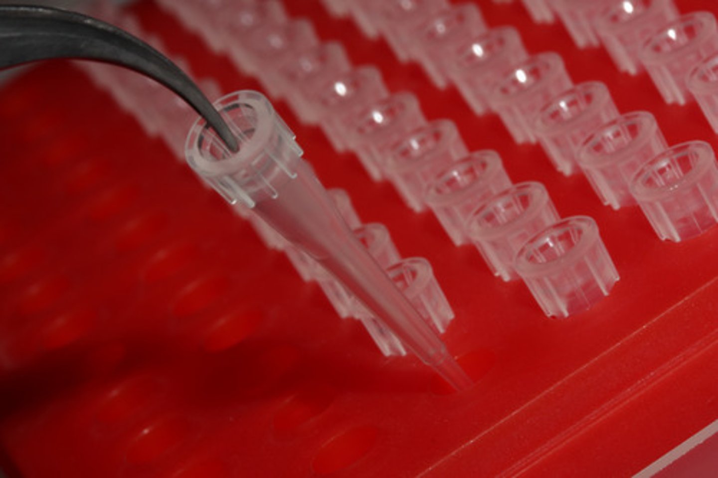 <p>Sterile plastic calibrated chamber into which small quantities of liquid are suctioned.</p>