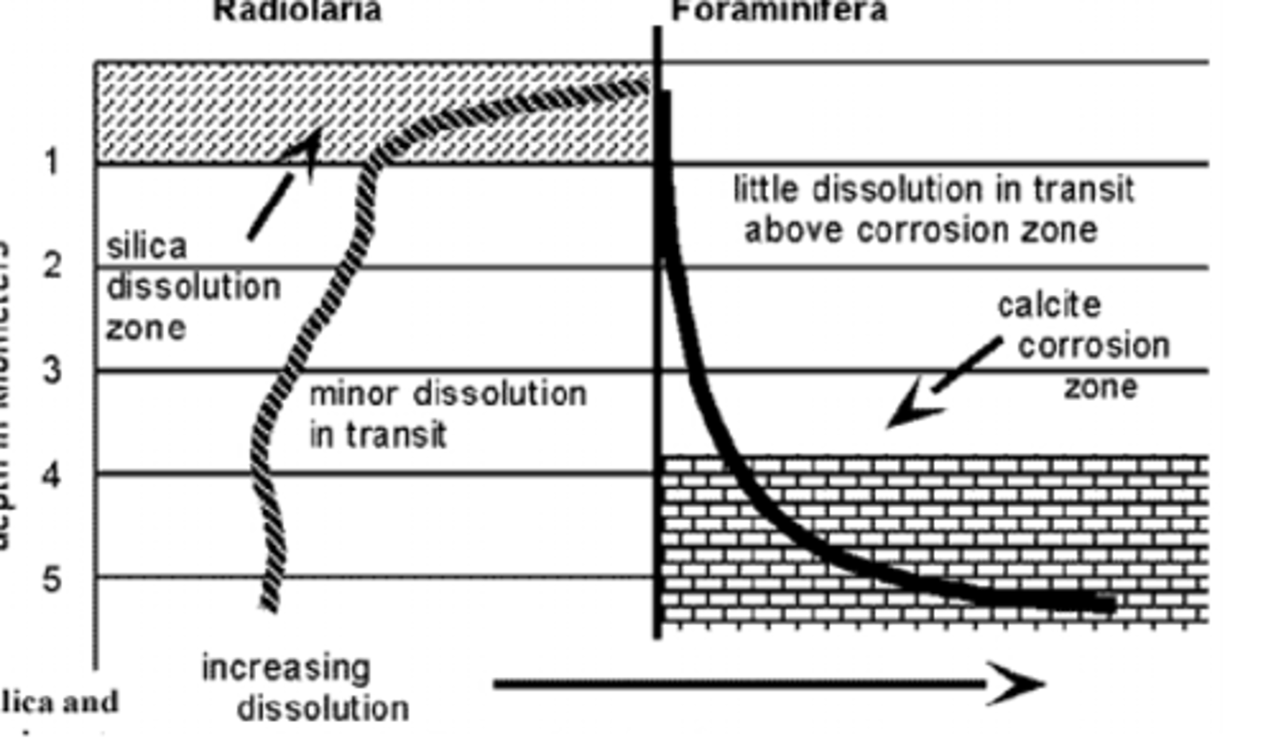 <p>Only in regions with highest silica production</p>