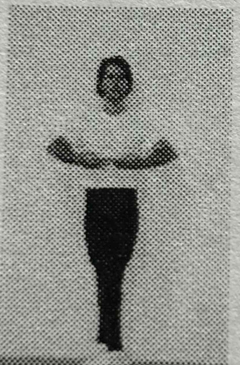 term image