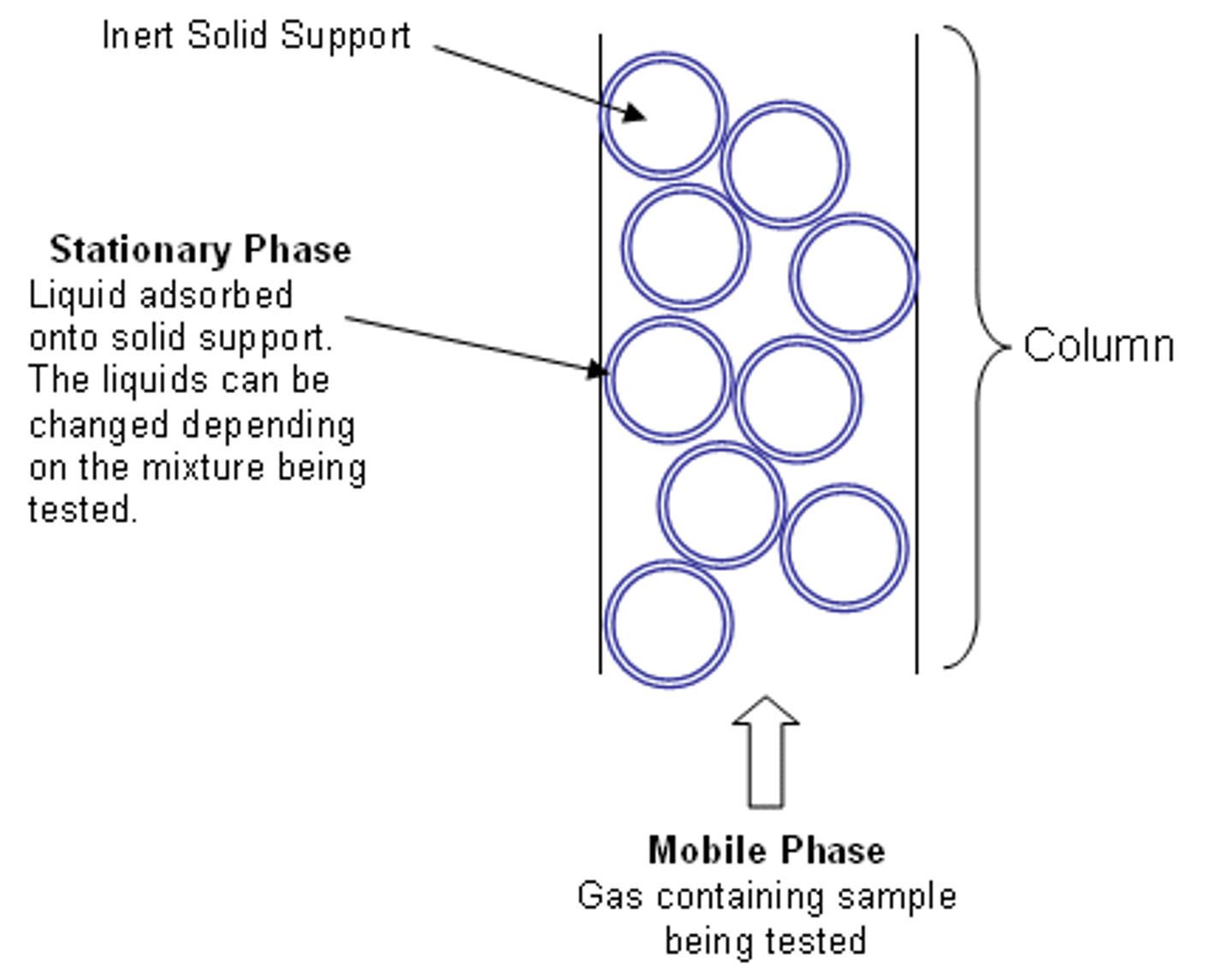 <p>(B) Liquid, Gas</p><p>In Gas Chromatography, the Stationary Phase is a Liquid while the Mobile Phase is a Gas.</p>