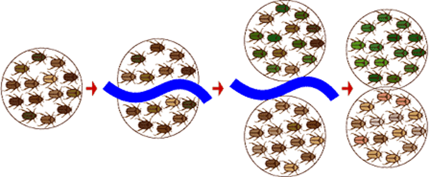 <p>form of reproductive isolation in which two populations are separated physically by geographic barriers such as rivers, mountains, or stretches of water</p>