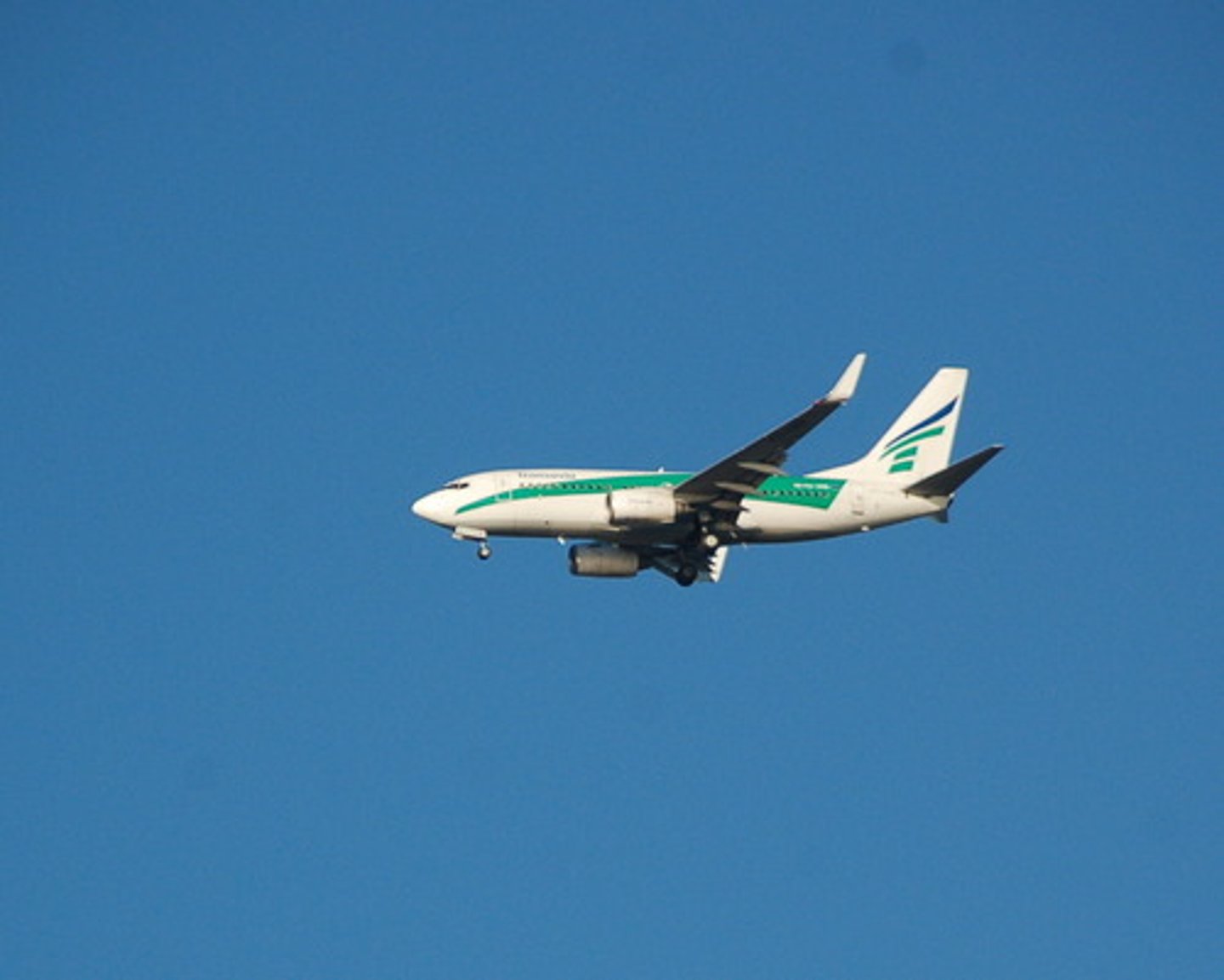 <p>hiến chương</p>