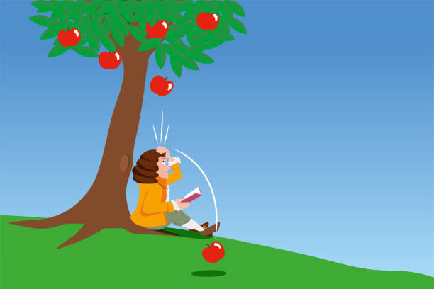 <p>The natural force that attracts objects to each other.</p>