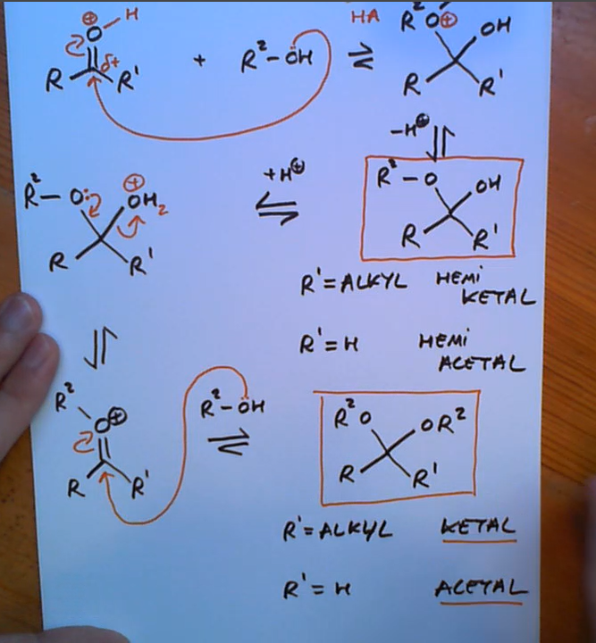 <p>Oxygen must be pronated first in acid catalysed carbonyl reactions</p>