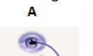 <p></p>