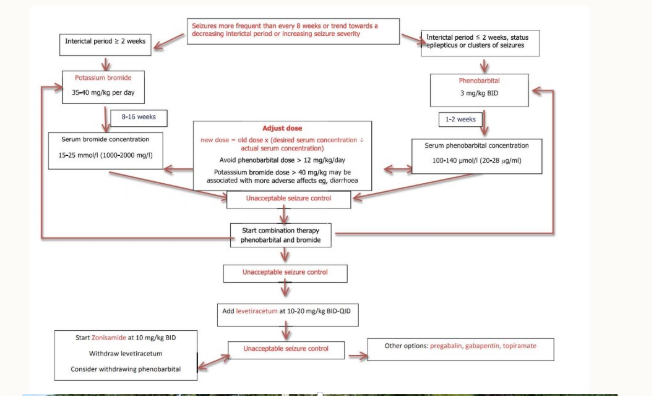 <ul><li><p>need to consider dosage - what will be effective? is it in the safe zone?</p></li><li><p>give a starting dosage for 2 weeks</p></li><li><p>ask the owner on review about any clinical signs e.g. barbiturates make pets very sleepy</p></li><li><p>assess on whether to make the dosage higher or lower</p></li></ul><p></p>