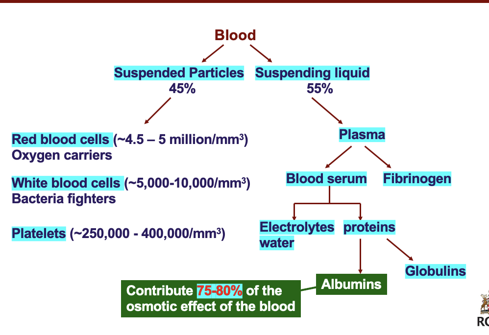 <p>2 main lines of communication within the body are ciruclatory system and nervous system</p>
<p>cardiovascular compartment contains all the vascular components + the heart</p>
<blockquote>
  <p>abt 8% of the body's mass is <em>blood</em><br />
  in an adult the blood volume is 5-6L</p>
</blockquote>
<p><em>PROTEINS IN BLOOD ARE VITAL TO OSMOTIC PRESSURE</em></p>
<p>Blood:</p>
<blockquote>
  <p>suspended particles: RBC, WBC, platelets<br />
  suspending liquid: plasma: fibrinogen; blood serum: electrolytes, water ; proteins: globulins; albumins</p>
</blockquote>
<p><em>albumins contribute to 75-80% of the osmotic effect of the blood</em></p>
<p>blood enters capillary bed as arterial blood but leaves on the other side as venous blood. during the switch, fluids and nutrients leave blood and move into interstitial fluid and then into tissue cells, fluids return to bloodstream in same volume but must carry waste products of metabolism. </p>
<p>rate of diffusion of fluids is ~25-30L per second</p>
