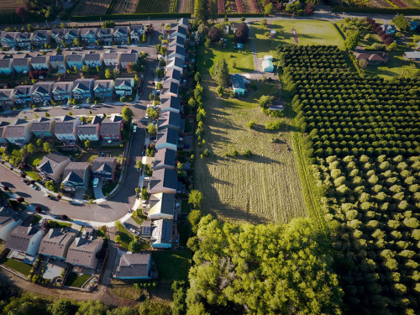 <p>Geographical boundaries placed around a city to limit suburban growth within that city.</p>