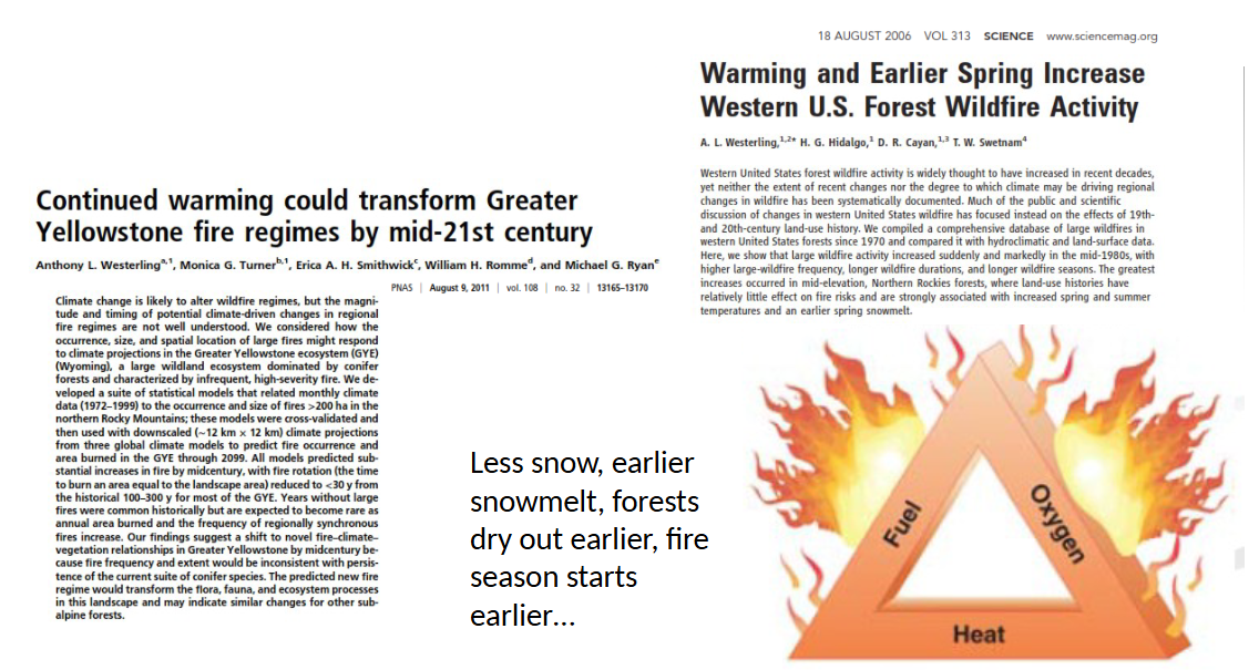 <p>-less snow, earlier snowmelt, forests dry out earlier, fire season starts earlier </p><p>-more extreme drought conditions and warmer temperatures = drier fuel conditions = more extreme and more frequent fires</p><p>-stronger winds also create much larger, more catastrophic fires </p>