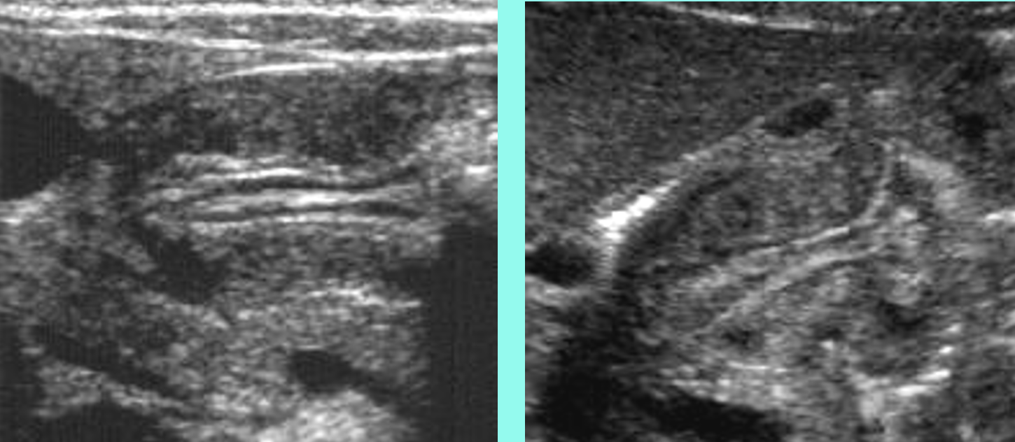 <p>what is shown?</p>