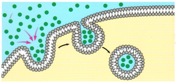 What type of transport does this show?