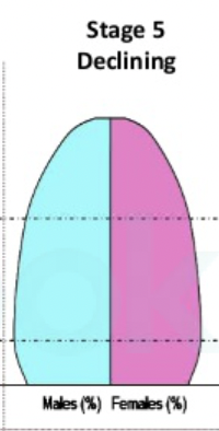 <ul><li><p>low birth rate</p></li><li><p>low death rate</p></li><li><p>falling and then stable natural increase</p></li></ul>