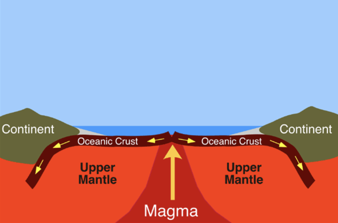 <p>The formation of new ocean crust as a result of magma pushing upward and outward from Earth’s mantle to the surface </p>