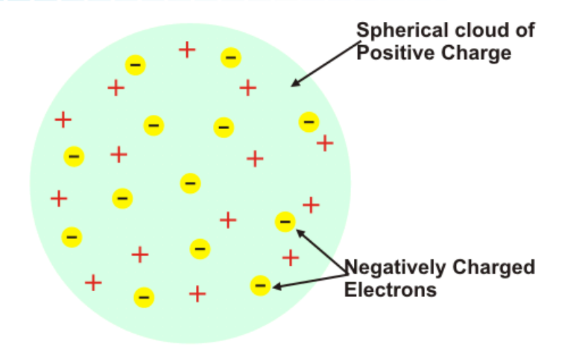 <p>J. J. Thompson— thought it was likely that the electrons were evenly distributed throughout an atom filled uniformly with positively charged material.</p><p>Electrons were stuck into a lump of positive charge, similar to raisins stuck in dough.</p>