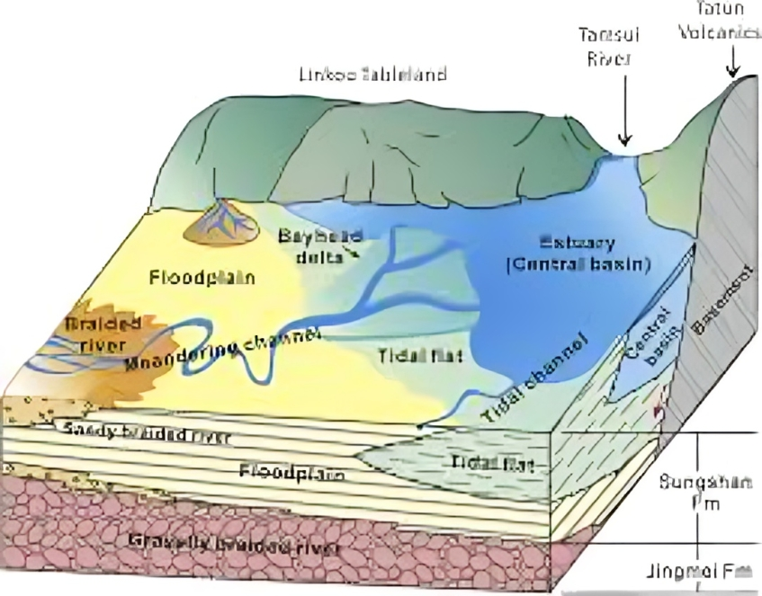 <ul><li><p><strong>Fluvial (Rivers)</strong> → Sandstone, siltstone.</p></li><li><p><strong>Marine (Oceans)</strong> → Limestone, shale.</p></li><li><p><strong>Deserts (Aeolian)</strong> → Cross-bedded sandstone.</p></li><li><p><strong>Glacial</strong> → Tillite (unsorted sediments from glaciers).</p></li></ul><p></p>