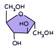 <p>Name this monosaccharide</p>