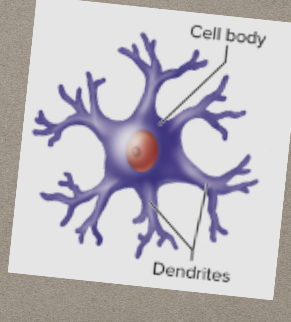 <p>What is this?</p>