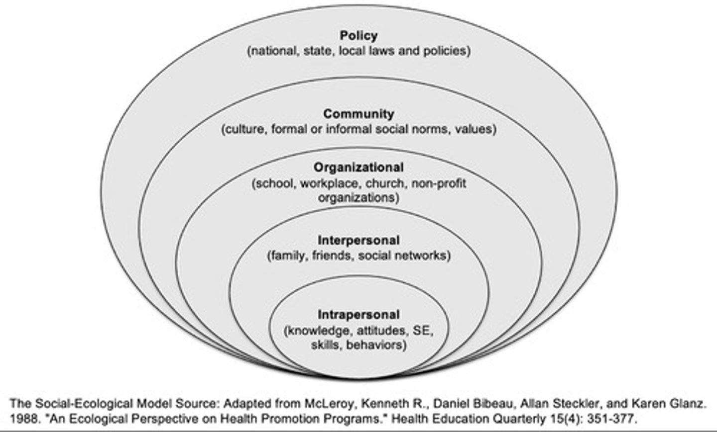 <p>Examines health literacy</p>