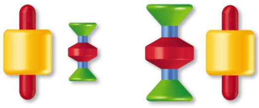 <p>When babies learn to develop familiar size cues</p><ul><li><p>Played with toys of different sizes</p></li><li><p>5 months they don’t show the effect, just as likely to grab for either one</p></li><li><p>Couple months ~7 months later they learned how to use the distinction of familiar size and grabbed the bigger one first, thinking it was closer to them</p></li></ul><p></p>