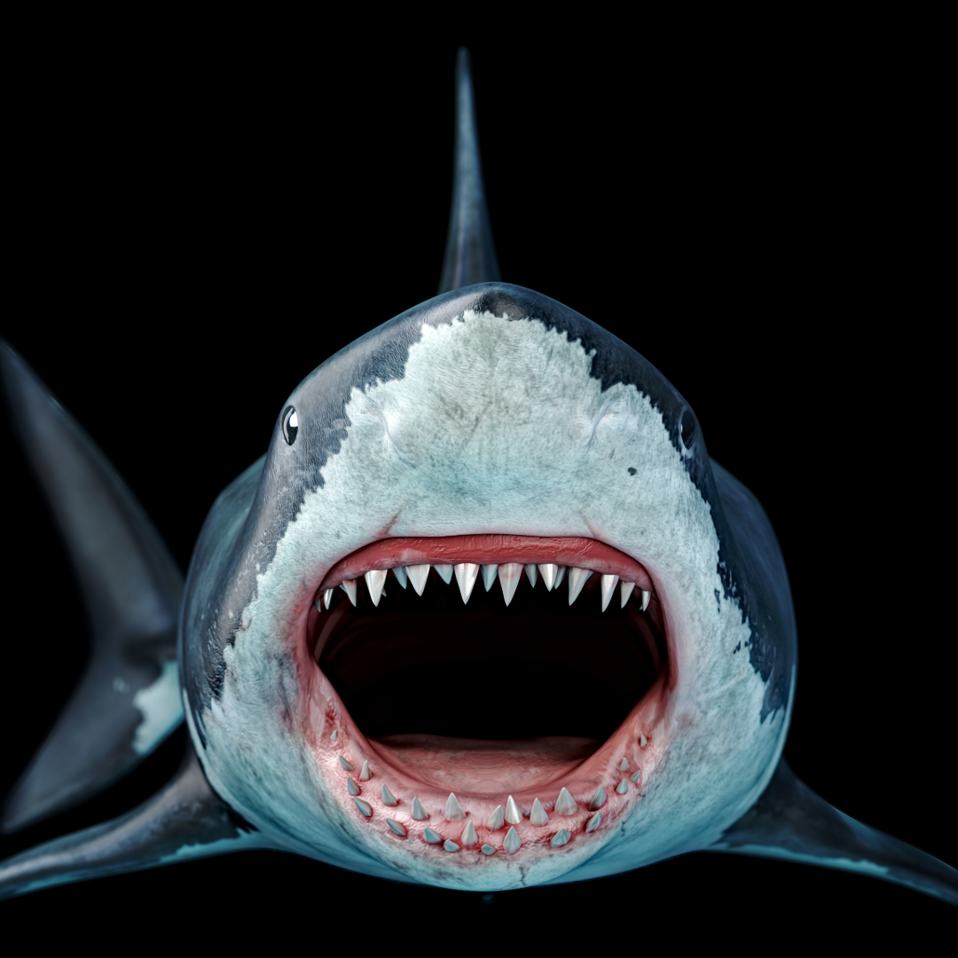 <p><strong>じょうず 上手</strong></p><p><span style="color: rgb(169, 169, 169);"><span>Kanji:</span></span></p><p><span style="color: rgb(169, 169, 169);"><span>上 Up</span></span></p><p><span style="color: rgb(169, 169, 169);"><span>手 Hand</span></span></p>