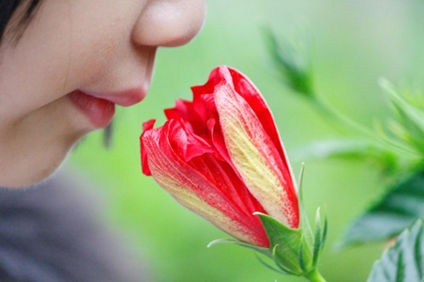 <p>（wén） - to smell</p>