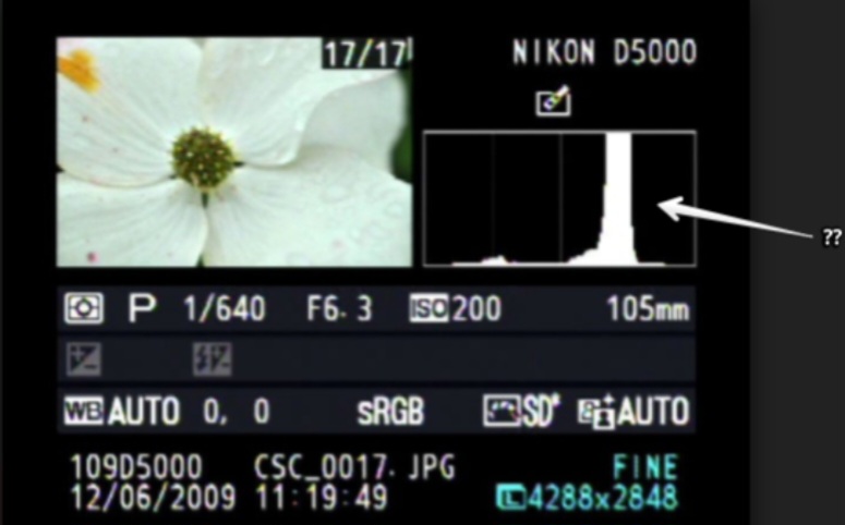 <p>What is this "graph" on a camera?</p>