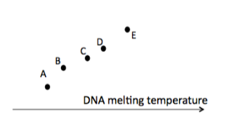<p><span>Indicate the duplex DNA fragment with the<strong><u> highest GC content from the graph.</u></strong></span></p><p><span>a) A</span></p><p><span>b) B</span></p><p><span>c) C</span></p><p><span>d) D</span></p><p><span>e) E</span></p>