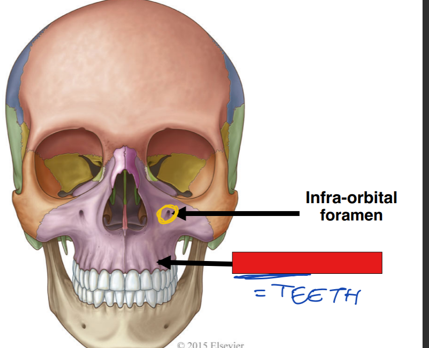 <p>fill in the red box:</p>