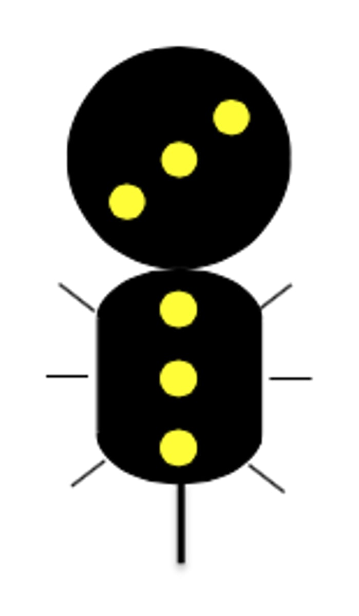 knowt flashcard image