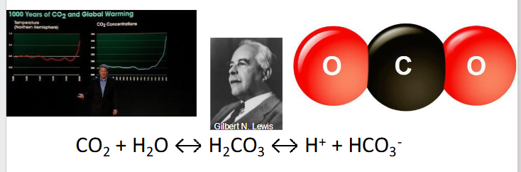 <p>- CO2 + H2O &lt;--&gt; H2CO3 &lt;-&gt; H+ + HCO3-</p><p>- CO2 is a lewis acid (accepts electron pair from H2O, liberating H+)</p>