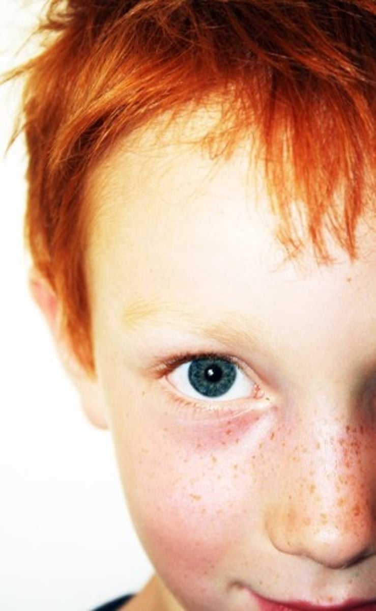 <p>red-haired (masculin)</p>