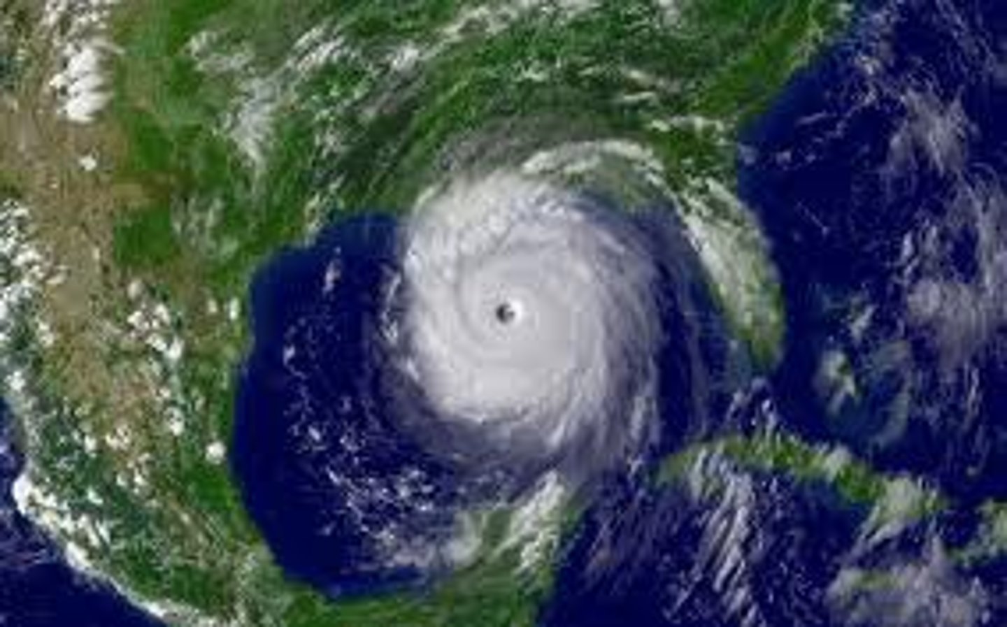 <p>a strong depression (low pressure system) with wind speeds of between 39-74 mph, usually form over tropics where water is warm.</p>