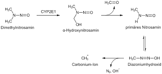 <p>Metabolised by CYP2E1 in the liver, which turns guanine to O6-methyl G</p>