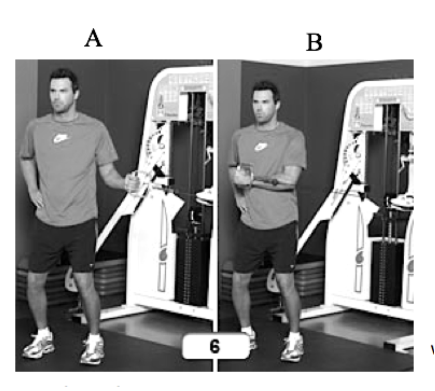 <p>Cet homme fait un exercice où il passe de la position A à la position B avec une résistance au mouvement. Quel muscle sera renforcé par cet exercice?</p><p>A. Muscle deltoïde postérieur</p><p>B. Muscle subscapulaire</p><p>C. Muscle dentelé antérieur</p><p>D. Muscle supra-épineux</p>