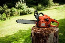 <p><span>&nbsp;Power tool with a motor-driven chain, used for cutting trees and large branches.</span></p>