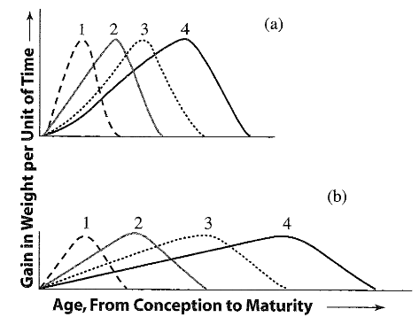 <p>brain, bone, muscle, fat </p>